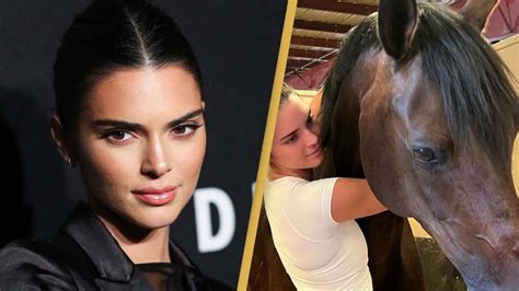 horse cumshot compilation porn|Horse Cumshot Compilation Porn Videos .